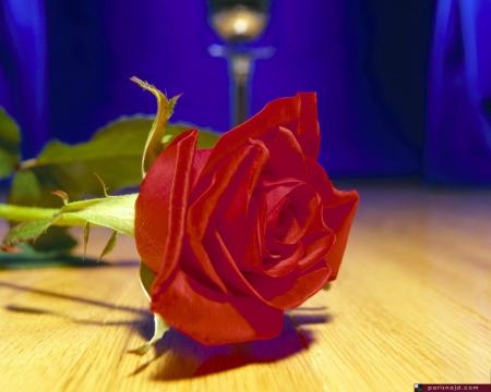 ���� ���������������������������������������������